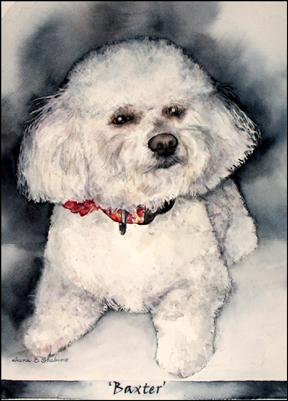 baxter