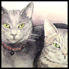 dusty&smaokeysmall