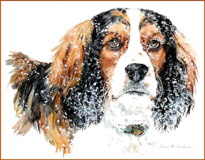 maddy