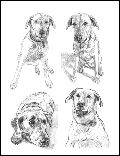 hattiesketches