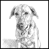 hattie sketches