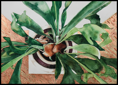 frondlystaghornwithcopperaandgoldmetalleaf
