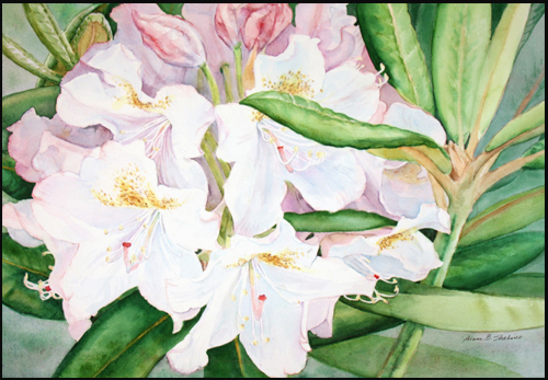 rhododendrongreatdane