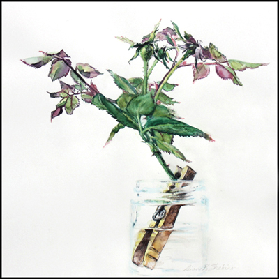 rosehips&clothespin