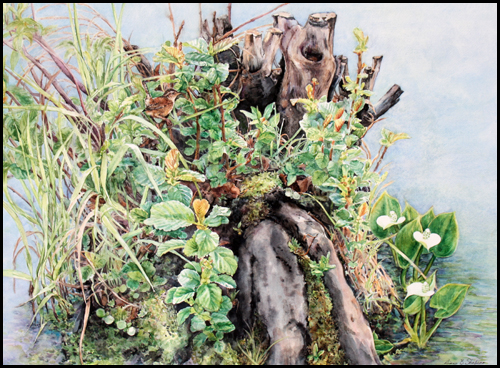 stumpedinbluegillpark