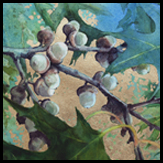 adolescacorns1withgoldmetalleaf